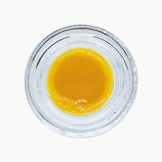 Muse - Black Tuna - Live Budder 1G - 1