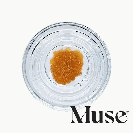 Muse - Florida Oranges - Live Resin 1G - 1