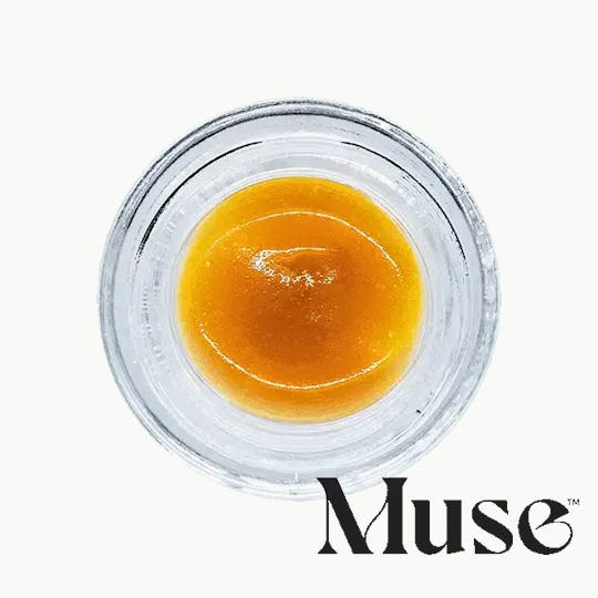 Muse - Grape Cake - Live Terpene Sauz 1G - 1