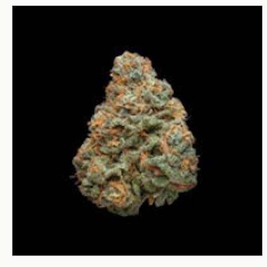 Smoakland - Xclusivez - Apple Fritter (H) - 28g - 1