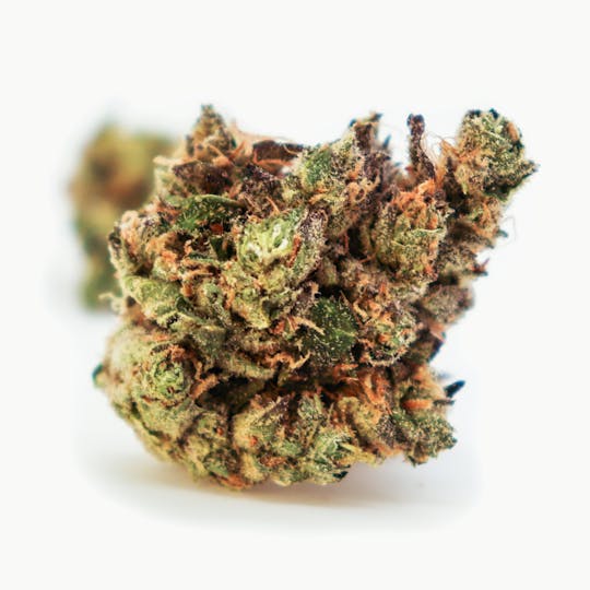 River Driver Cannabis Co - Jelly Spice 3.5g - 1