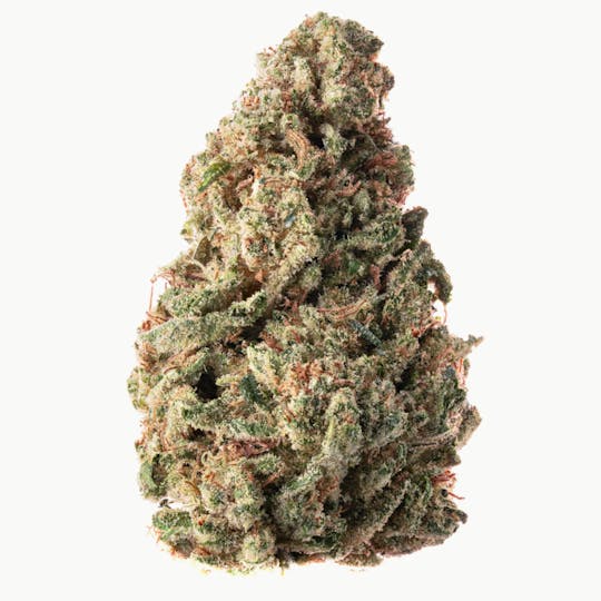 Joy Ridge Farms - Durban Cookies Flower 28g - 1