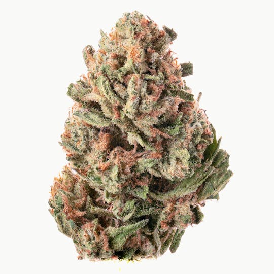Joy Ridge Farms - Cherry Pie Flower 28g - 1