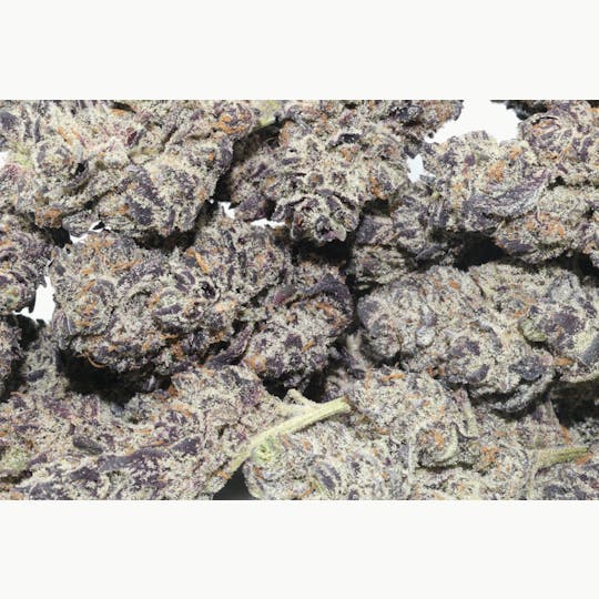 Original Intelligence - Jealousy X Runtz (Sherbert BX1 X Gelato 41) - 1g Baby Nugs - 1