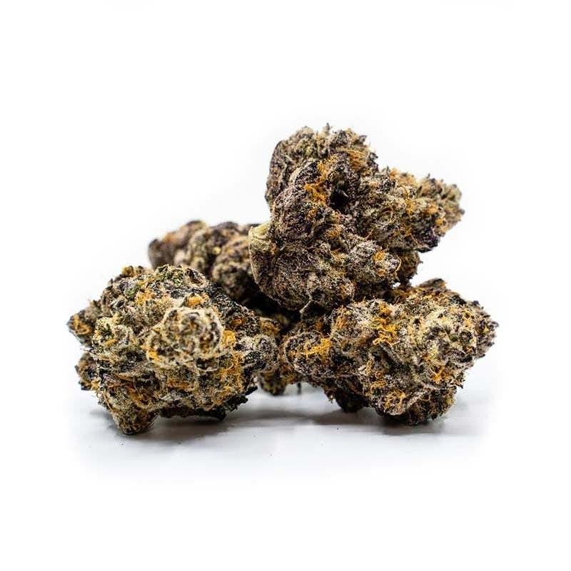 Original Intelligence - Jealousy X Runtz (Sherbert BX1 X Gelato 41) - 7g Baby Nugs - 1