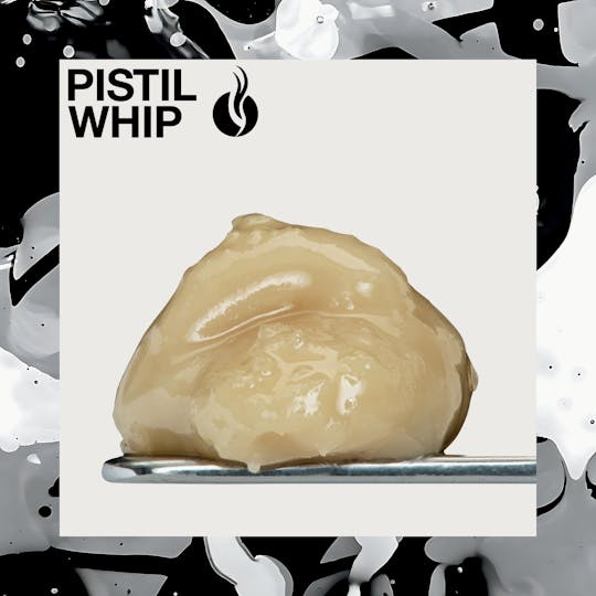 Pistil Whip - Gastro Belts Live Rosin Badder (1g) - 1