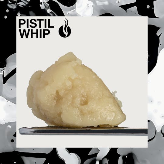 Pistil Whip - Gush Mints Live Rosin Badder (1g) - 1