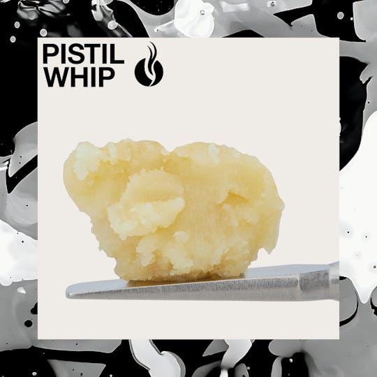 Pistil Whip - Motorbreath x Banana Punch Live Rosin Badder (1g) - 1