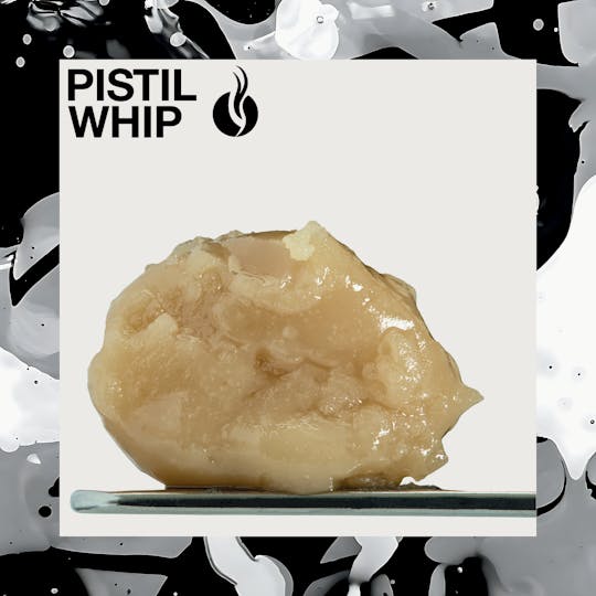 Pistil Whip - GMO Sherb Live Rosin Badder (1g) - 1