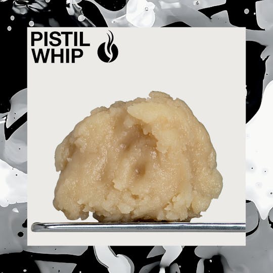 Pistil Whip - Papayarita Live Rosin Badder (1g) (Frozen Collab) - 1