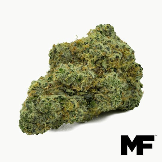 Modern Flower - Banana Pie - Whole Flower 3.5G - 1