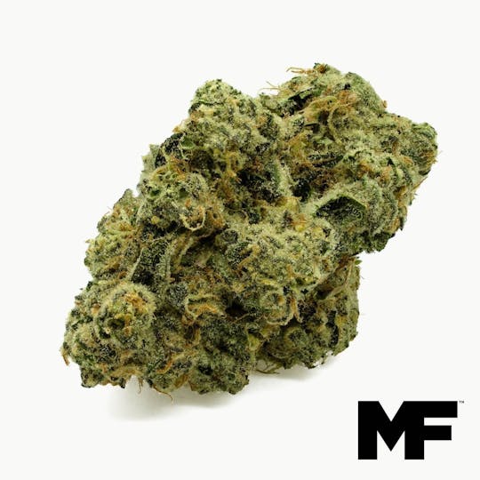 Modern Flower - Space Coast Cake - Whole Flower 3.5G - 1