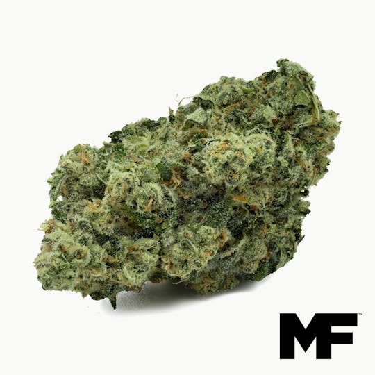 Modern Flower - Angel Cake - Whole Flower 3.5G - 1