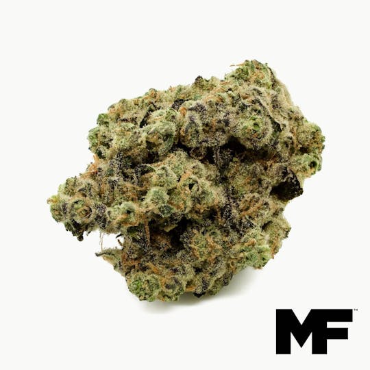Modern Flower - Jungle Cke - Whole Flower 3.5G - 1