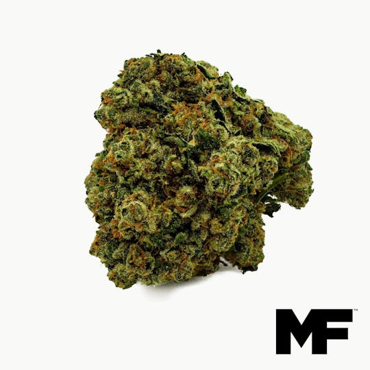 Modern Flower - GMO X Legend OG - Whole Flower 3.5G - 1