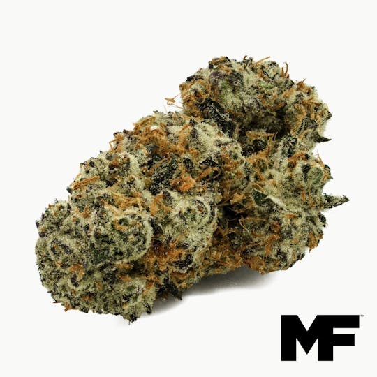 Modern Flower - Sly Look - Whole Flower 3.5G - 1