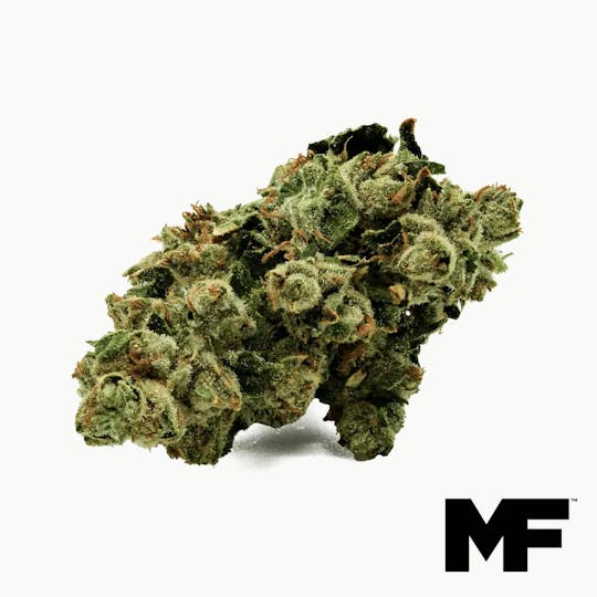 Modern Flower - Paradise Waits - Whole Flower 3.5G - 1