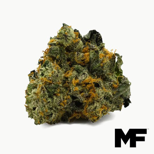 Modern Flower - Iron Lion - Whole Flower 3.5G - 1