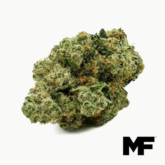 Modern Flower - Nitro Dream - Whole Flower 3.5G - 1