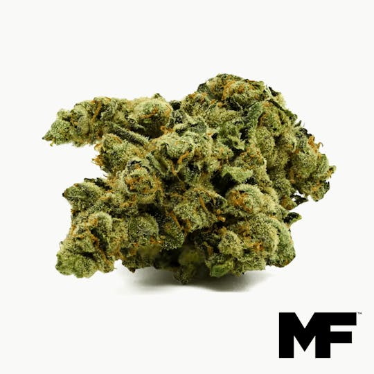 Modern Flower - Diesel Dough - Whole Flower 3.5G - 1