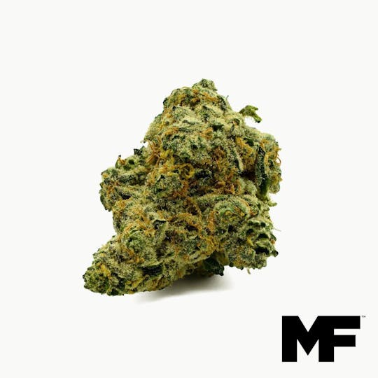 Modern Flower - Banana Bread - Whole Flower 3.5G - 1