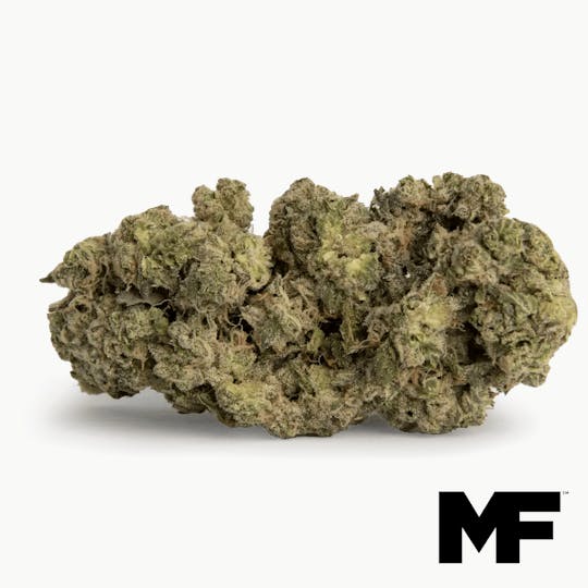Modern Flower - Space Age Cake - Whole Flower 3.5G - 1