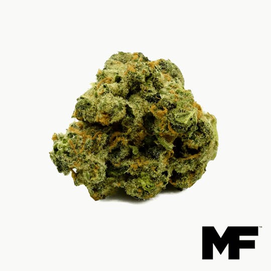 Modern Flower - Banana Power - Whole Flower 3.5G - 1