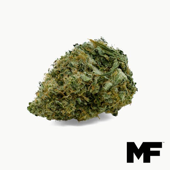 Modern Flower - Earthquake - Whole Flower 3.5G - 1