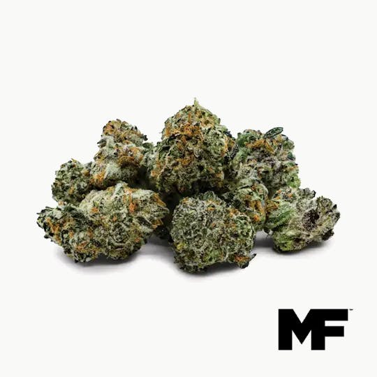 Modern Flower - Banana Mac - Minis 3.5G - 1
