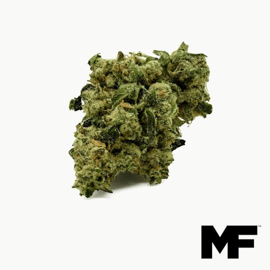 Modern Flower - Cake Face - Whole Flower 3.5G - 1