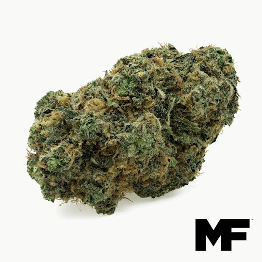 Modern Flower - Gelato Ice Cream #17 - Whole Flower 3.5G - 1
