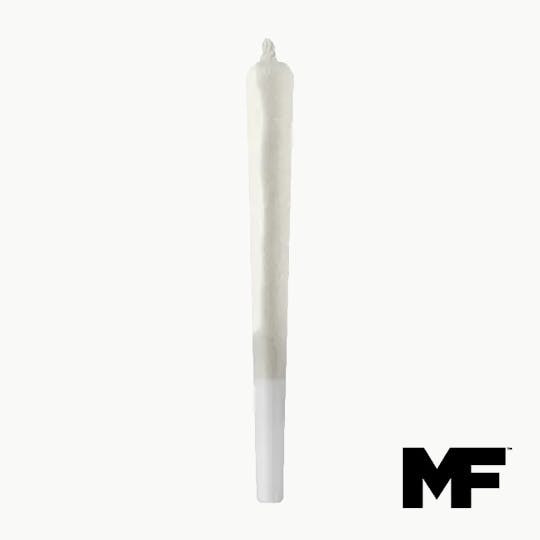 Modern Flower - Blue Spring Cookies - Single PreRoll 1G - 1