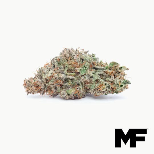 Modern Flower - Solomon Grundy - Whole Flower 3.5G - 1