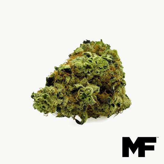 Modern Flower - Shipwreck - Whole Flower 3.5G - 1