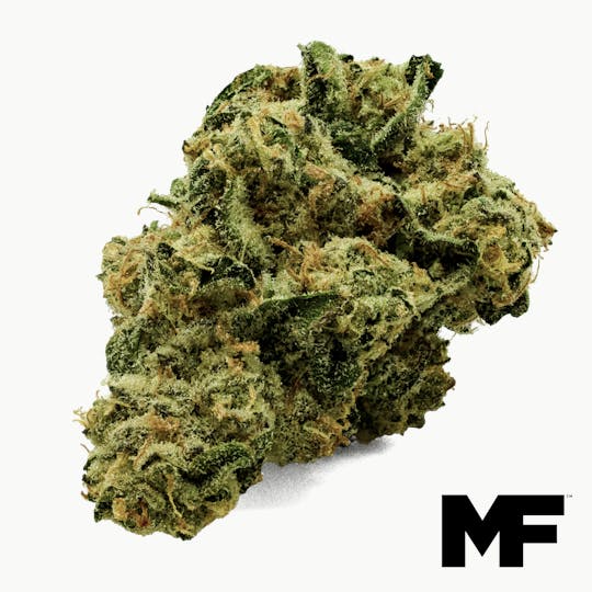 Modern Flower - LA Kush Cake - Whole Flower 3.5G - 1