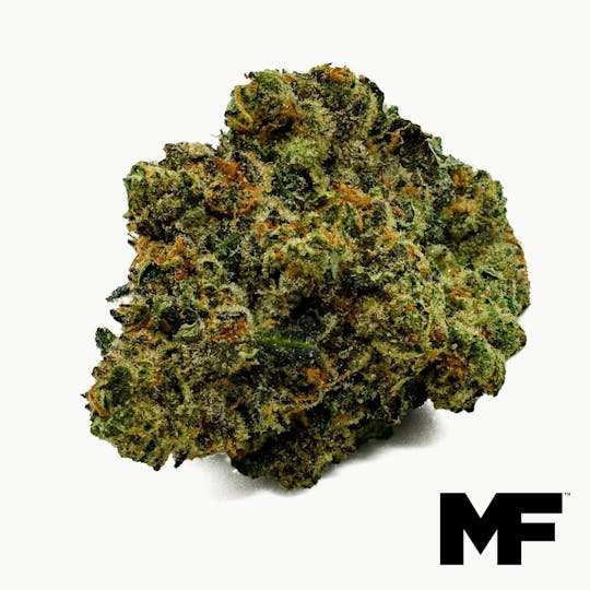Modern Flower - Kush Mints - Whole Flower 3.5G - 1