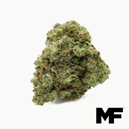 Modern Flower - Kitchen Sink - Whole Flower 3.5G - 1