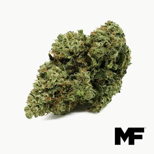 Modern Flower - Double OG Chem - Whole Flower 3.5G - 1