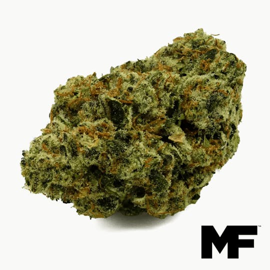 Modern Flower - Blue Spring Cookies - Whole Flower 3.5G - 1