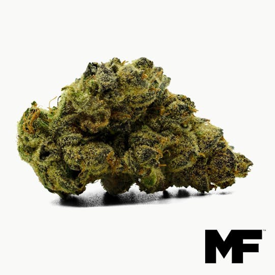 Modern Flower - Pink Cookies - Whole Flower 3.5G - 1