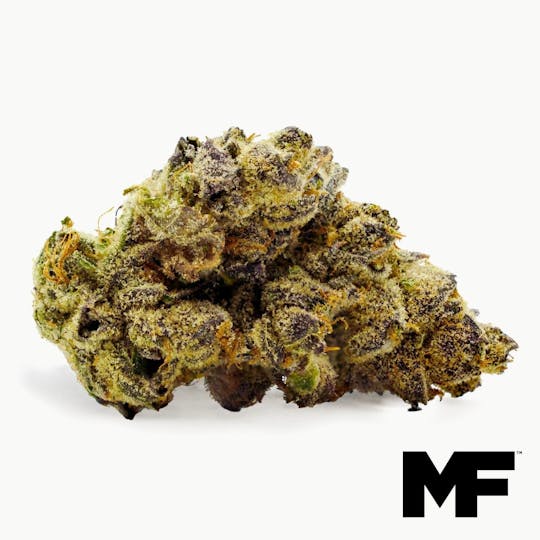 Modern Flower - Nutter Fort OG - Whole Flower 3.5G - 1