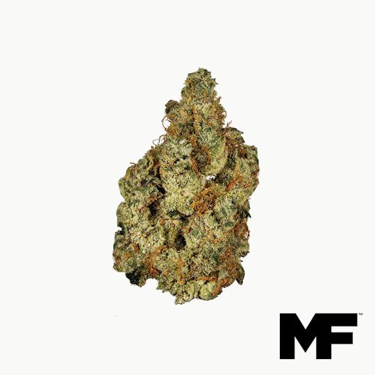 Modern Flower - Garlic Cookies - Whole Flower 3.5G - 1