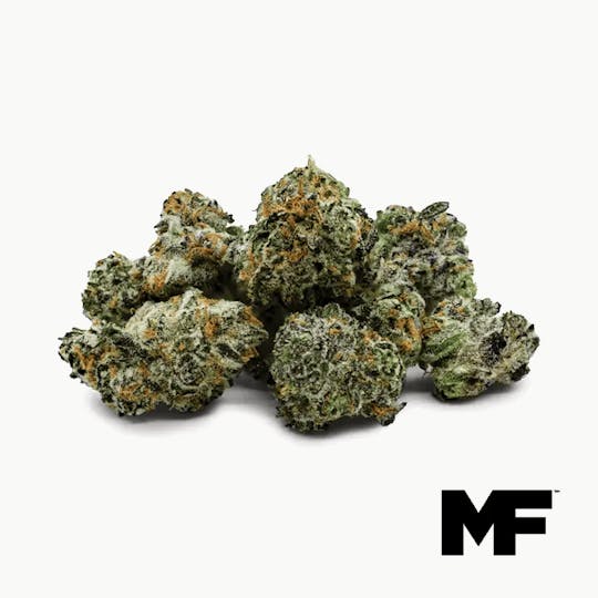 Modern Flower - Hippie Crasher - Minis 3.5G - 1