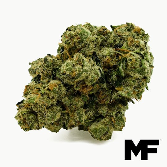 Modern Flower - 304 Kush - Whole Flower 3.5G - 1