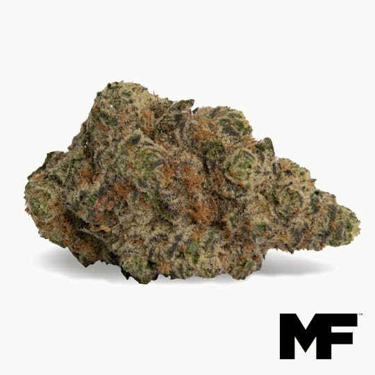 Modern Flower - Purple Parfait - Whole Flower 3.5G - 1