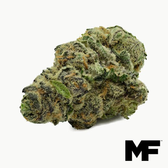 Modern Flower - White 99 - Whole Flower 3.5G - 1