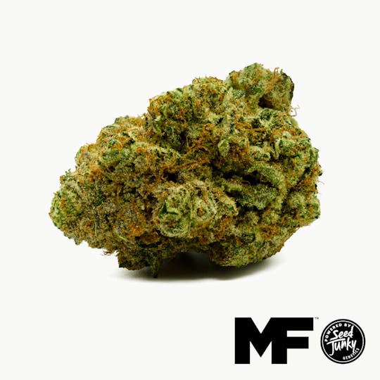 Modern Flower - Malibu - Whole Flower 3.5G - 1