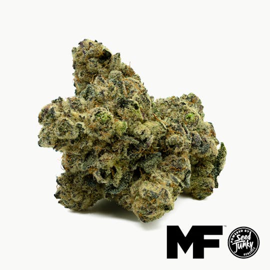 Modern Flower - PPP - Whole Flower 3.5G - 1