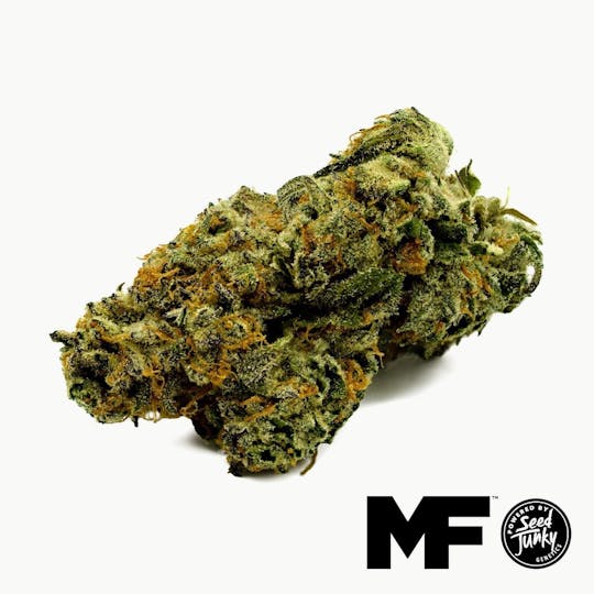 Modern Flower - Lemon Chry X Cap Junky - Whole Flower 3.5G - 1