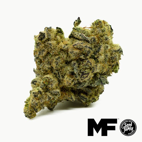 Modern Flower - Pineapple Fruz - Whole Flower 3.5G - 1